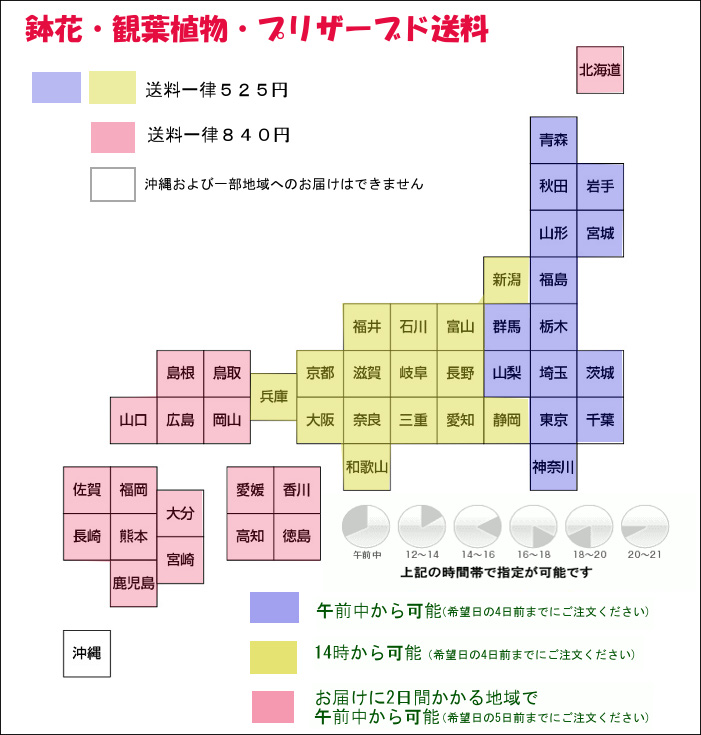 鉢花配送表